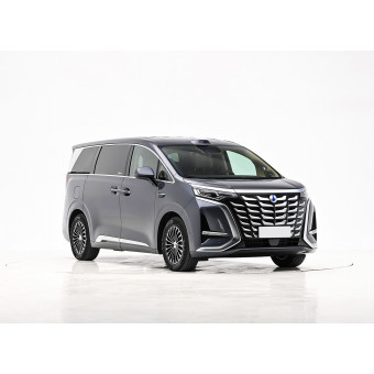 Denza D9 DM-i, EV