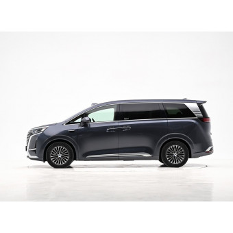 Denza D9 DM-i, EV